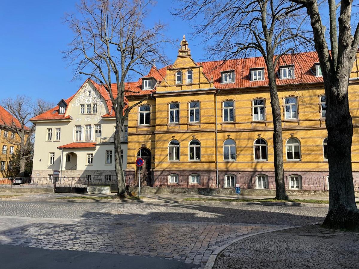 Apartment Zur Wiege Anhalts 巴伦施泰特 外观 照片