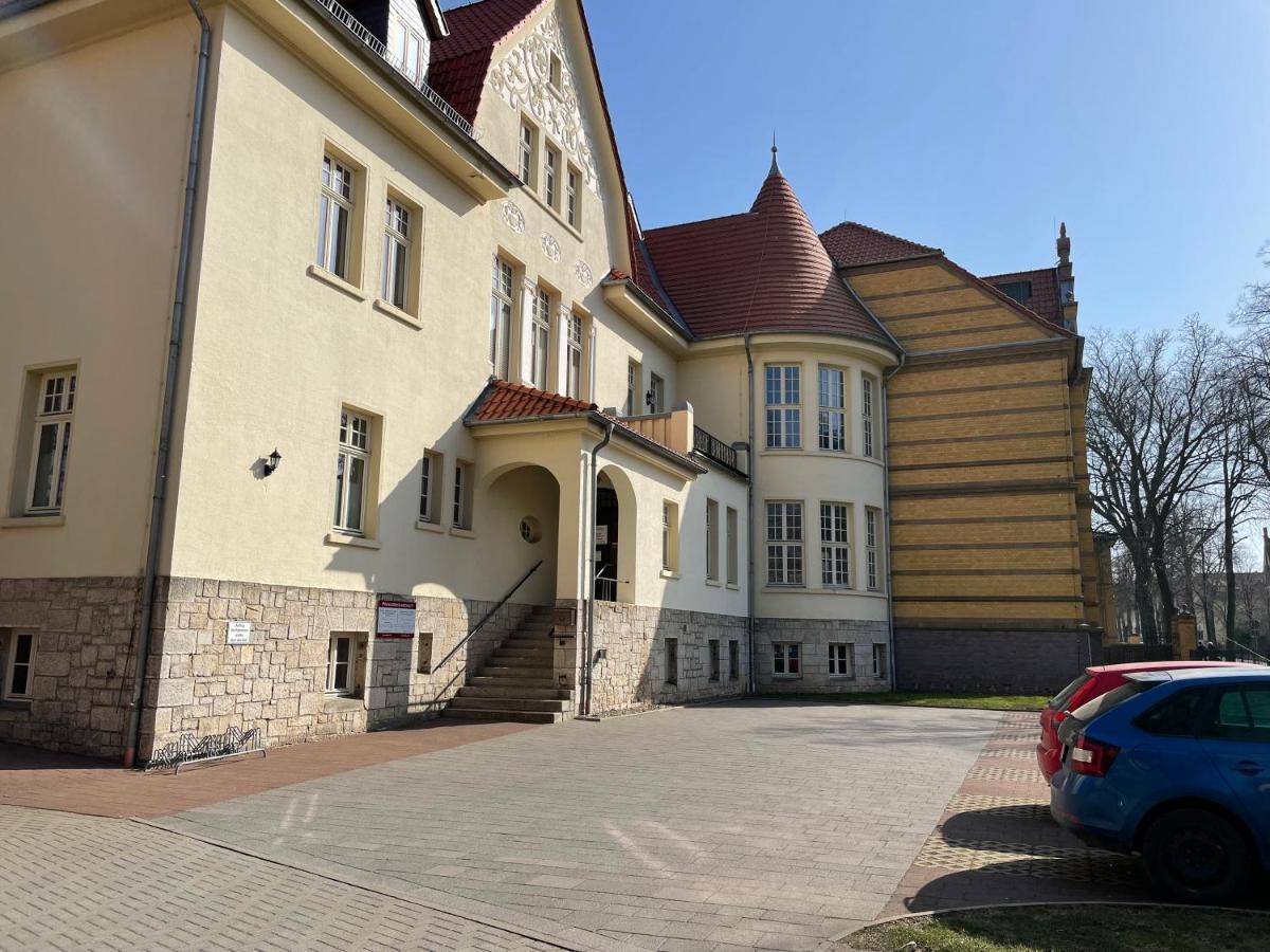 Apartment Zur Wiege Anhalts 巴伦施泰特 外观 照片